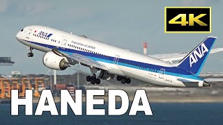 4K 200 jets from morning to night  plane spotting at Tokyo Haneda Airport  羽田空港 JAL ANA [upl. by Bolanger517]