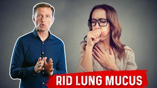 How to Reduce Lung Respiratory Mucus [upl. by Gnanmos42]