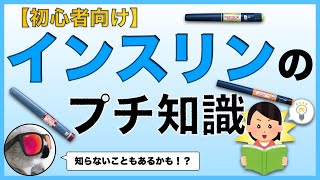 【初心者向け】インスリンのプチ知識【知らないこともあるかも？】 [upl. by Nathanael]