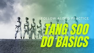 How to Drill Basic Tang Soo Do Techniques [upl. by Aiclef657]