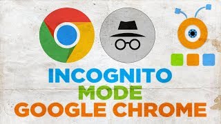 How to Use Incognito Mode on Google Chrome  Enable Incognito Mode in Google Chrome [upl. by Anoet]