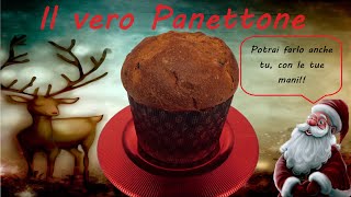 PANETTONE CLASSICO 😍 la videoricetta per un Panettone perfetto ✌ [upl. by Wendelin]