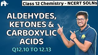 Aldehydes Ketone amp Carboxylic Acids Class 12  Chemistry Chapter 12 NCERT Solutions Questions 1013 [upl. by Lokim759]