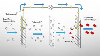 Brennstoffzellen einfach erklärt  Klemens klärt Chemie [upl. by Bristow]
