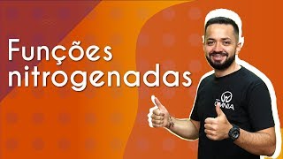 Funções nitrogenadas  Brasil Escola [upl. by Rozele350]