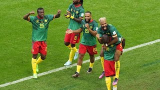 Mondial 2022  les Lions toujours dedans [upl. by Woolcott971]