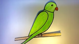 How to draw a Parrot step by step  Easy Parrot Drawing [upl. by Orsino799]