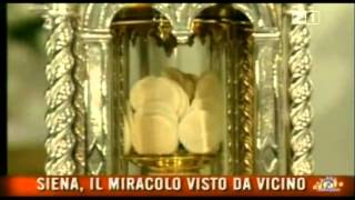 IL MIRACOLO EUCARISTICO DI SIENA  Lunico Miracolo Eucaristico in atto [upl. by Heddi]