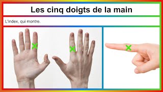 Les cinq doigts de la main [upl. by Eleph]