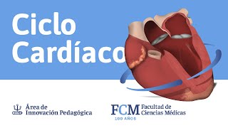 Electrocardiografía Básica Parte 14 [upl. by Asnarepse]