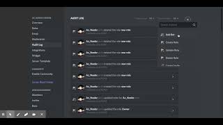 How to work the discord audit log [upl. by Esmerolda]