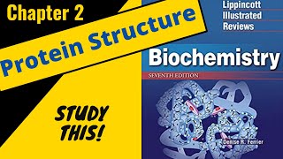 Lippincotts Biochemistry Review Chapter 2 Protein Structure  Study This [upl. by Naujahs]