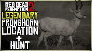 WHERE TO FIND THE LEGENDARY PRONGHORN LOCATION  HUNT  RED DEAD REDEMPTION 2 [upl. by Arleen]