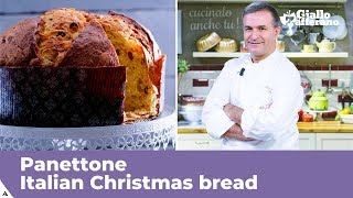 PANETTONE Italian Christmas bread traditional recipe [upl. by Findley]