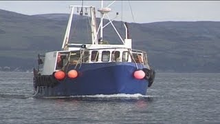 Trawling and Tubing Live Nephrops Prawns [upl. by Etezzil316]