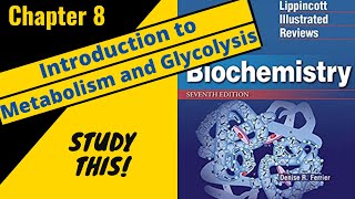 Lippincotts Biochemistry Review Chapter 8 Introduction to metabolism and glycolysis  Study This [upl. by Farrish]