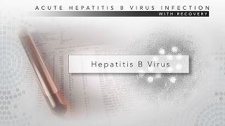 Hepatitis B CDC Viral Hepatitis Serology Training [upl. by Tyrrell]