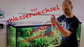 Wasserwechsel im Aquarium  Profi Tipp [upl. by Laure]