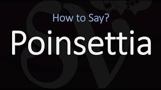 How to Pronounce Poinsettia CORRECTLY [upl. by Nylia]