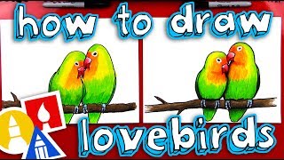 How To Draw Lovebirds [upl. by Kiraa]