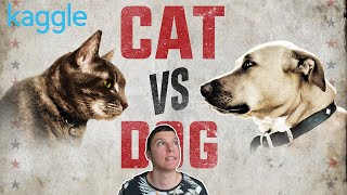 Classifying Cat vs Dogs  Kaggle Top 1 No Ensemble [upl. by Ume]