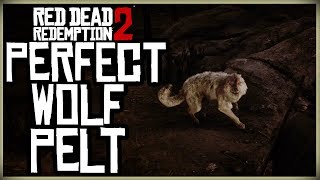 HOW TO GET A PERFECT WOLF PELT  RED DEAD REDEMPTION 2 PRISTINE WOLF HUNT [upl. by Fanchette]