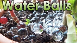 What is Water Balls Sodium Polyacrylate and Chemistry [upl. by Yreffoeg]