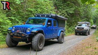 Deep in the Rain Forest of Washingtons Olympic Peninsula [upl. by Cyrilla]