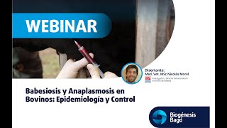 Babesiosis y Anaplasmosis en Bovinos Epidemiologia y Control  Webinar  Biogénesis Bagó [upl. by Tnarg]