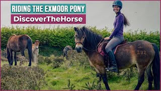 Riding an Exmoor Pony in Exmoor National Park [upl. by Enirhtak]