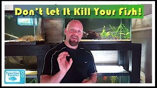 How to Lower Nitrites in an Aquarium [upl. by Lovell414]