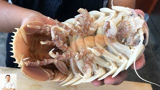 GRAPHIC Real Live Isopod Hour  Cut Clean Cook [upl. by Heindrick]