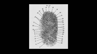 Introduction What are Fingerprints [upl. by Ezeerb]