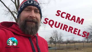 Squirrel Deterrents What Really Works [upl. by Lachman]