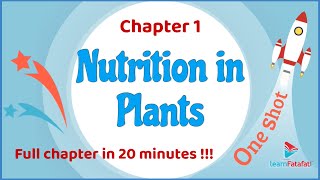 Class 7 Science Chapter 1 Nutrition in Plants  One Shot in 20 minutes  CBSE Class 7 [upl. by Kentigerma143]