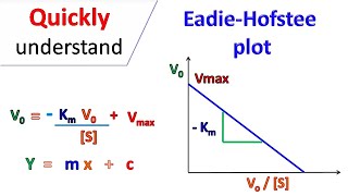 Eadie Hofstee Plot [upl. by Dranreb]