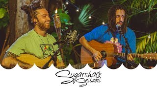 Iya Terra  Movement Live Music  Sugarshack Sessions [upl. by Wyly101]