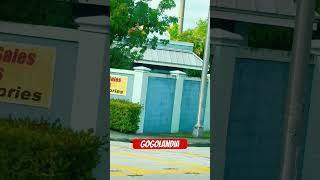 Gogolandia Miami [upl. by Kenti]