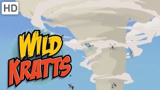 Wild Kratts  Tornadoes and Thorns A Prairie Adventure [upl. by Pat527]