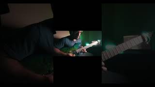 Stricken Guitar Solo [upl. by Michon]