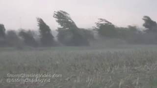 Pinckneyville IL Extreme Winds Blow down Trees  4262017 [upl. by Dudley559]