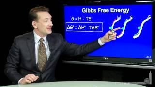 Gibbs Free Energy [upl. by Enicnarf]