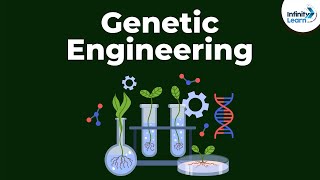 Genetic Engineering  Genetics  Biology  Dont Memorise [upl. by Eiralc226]