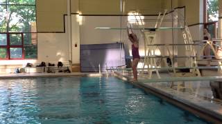 Teach a Flip for Springboard Diving [upl. by Animas728]