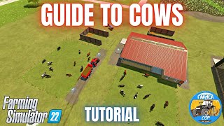 GUIDE TO COWS  Farming Simulator 22 [upl. by Assiral]