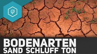 Bodenarten Was sind Sand Schluff und Ton  Böden Basics 4 [upl. by Notned]