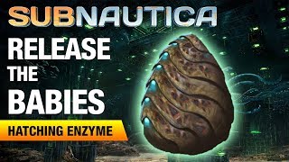 Where to find Silver Ore  SUBNAUTICA 2018 [upl. by Nerissa]