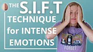 The SIFT Technique for Emotion Processing Dr Daniel Siegel and The WholeBrain Child [upl. by Miki112]