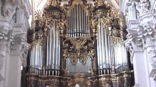 The Largest Cathedral Organ [upl. by Nico893]