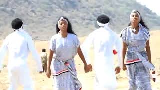 New Oromo Walagga Music 2019 [upl. by Eladnor]